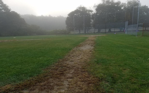 Ball Field Renovation