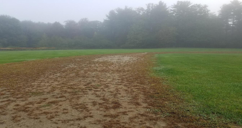 Ball Field Renovation