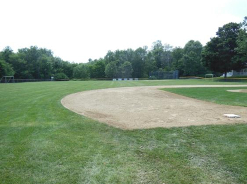 Ball Field Edging